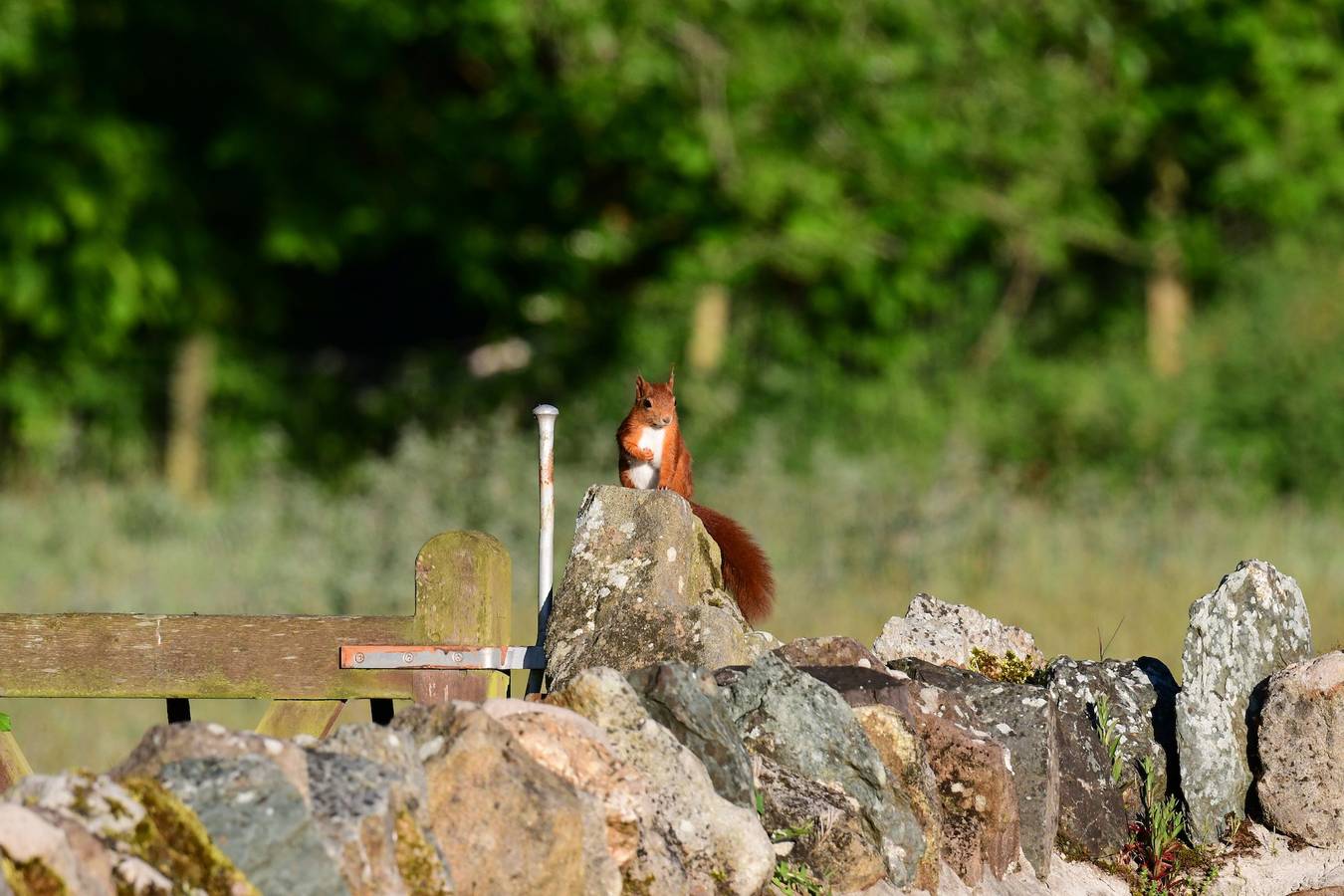 Carrog Barn in Isle of Anglesey