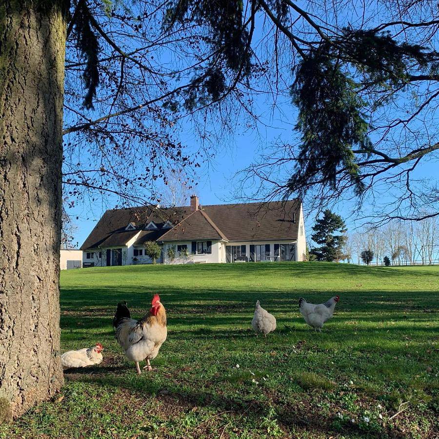 Deluxe Double or Twin Room in Ermenonville, Oise