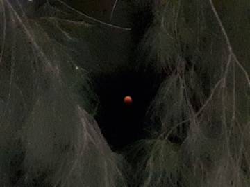 Holiday Apartment for 4 People in East Perth, Perth, Photo 2