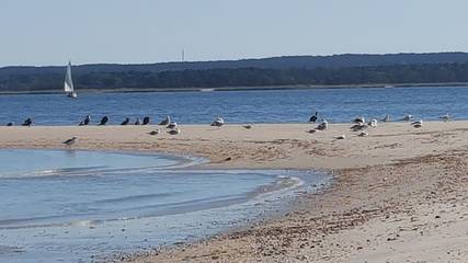 Vacation House for 7 Guests in Aquebogue, North Fork, Picture 4