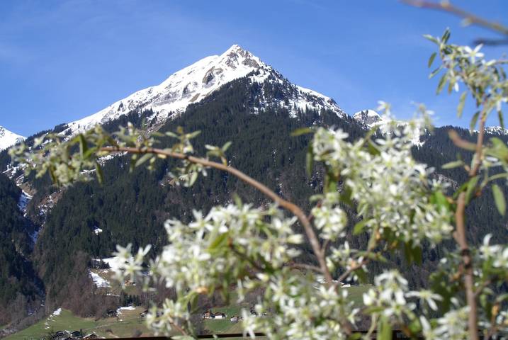 Ferienwohnung für 4 Personen, mit Ausblick und Balkon, kinderfreundlich im Montafon - 2