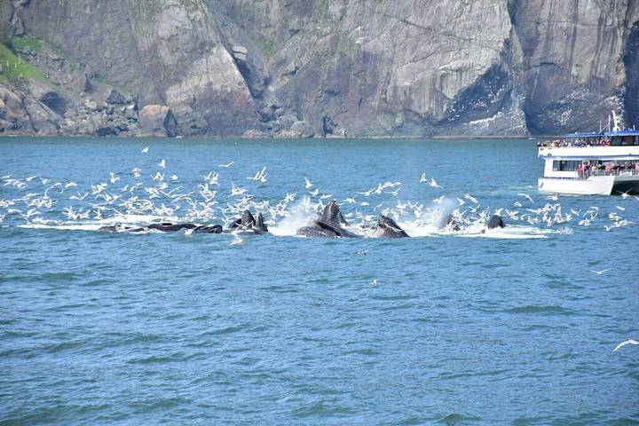 Vacation rental for 6 people, with yard and balcony, with pets in Anchorage