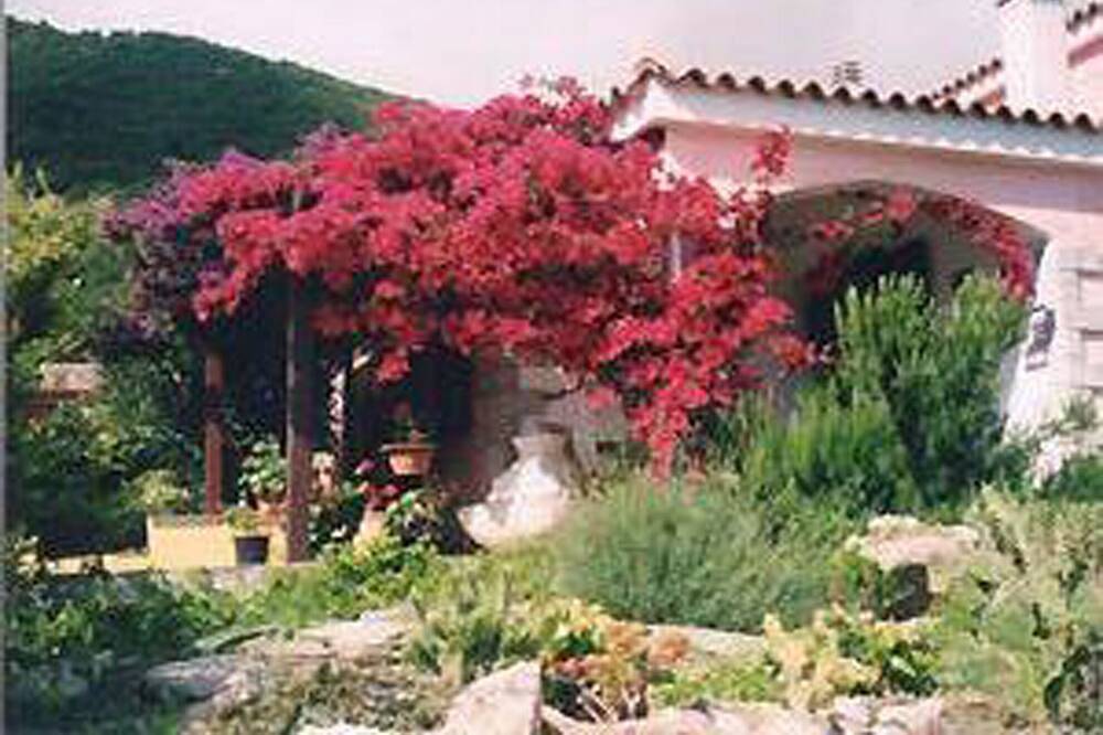 Cottage con giardino, posizione tranquilla con splendida vista sul mare e Tavolara