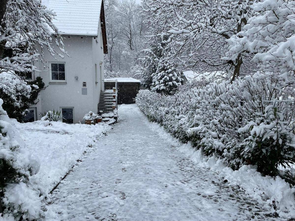 Ganze Wohnung, Apartment Sonnenberge in Jena, Saaleland