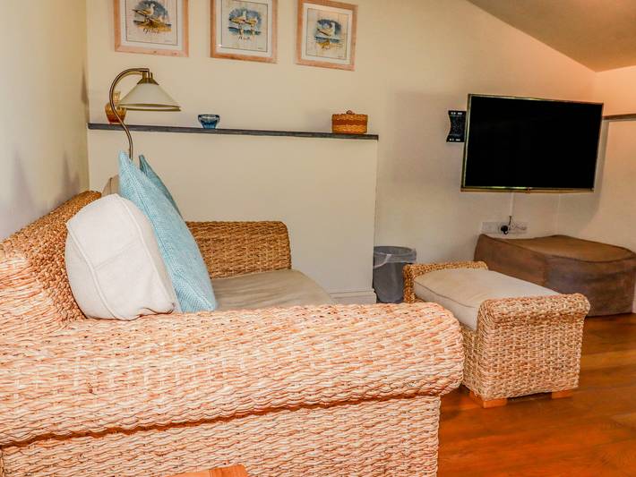 Periwinkle in Bude, Cornouailles