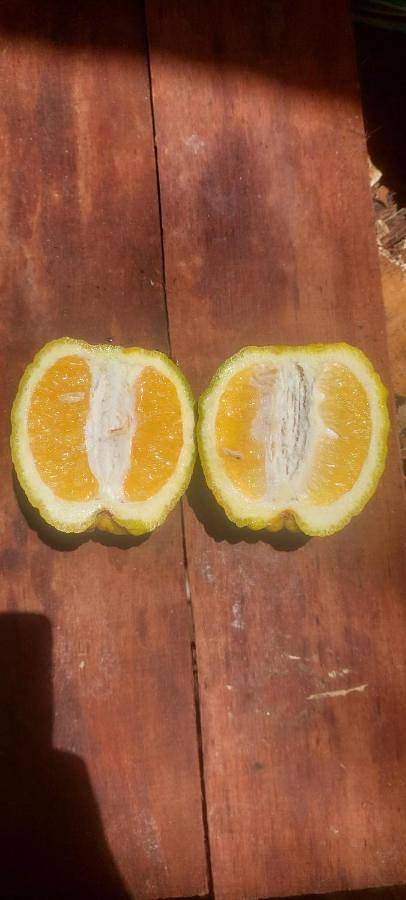 Tente pour 2 personnes, avec piscine ainsi que vue et jardin dans DOM-TOM - 4