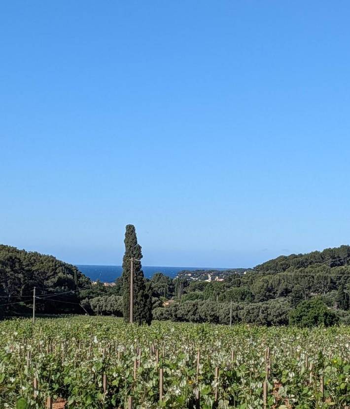 Villa pour 5 personnes, avec Terrasse à Ollioules