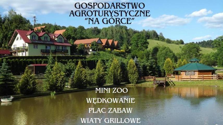 Dom dla 4 osób, z Balkon i Taras oraz Widok w Myczkowce