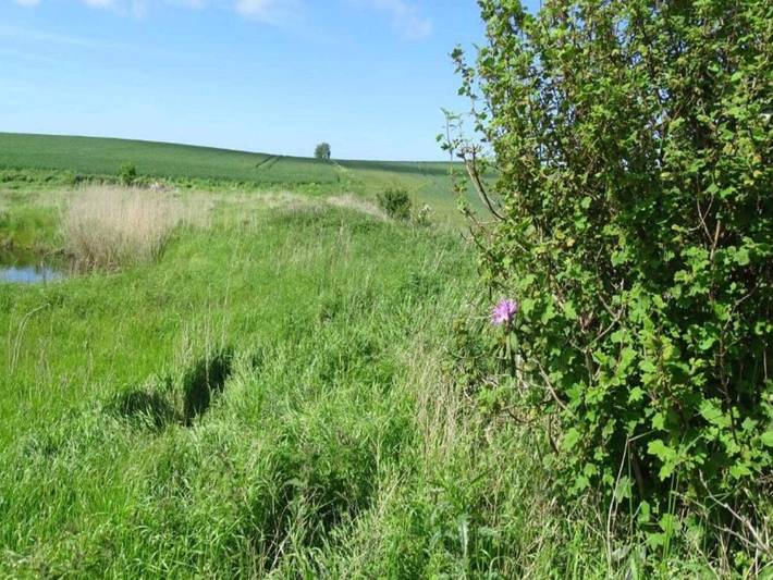 Location de vacances pour 4 personnes, avec Terrasse et Jardin dans Borre - 4