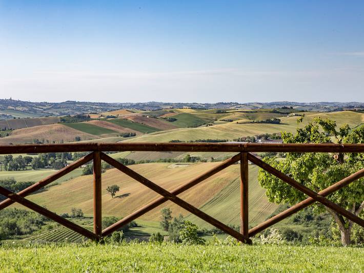 Appartamento intero, Appartamento nelle Marche con piscina e vino in Montecarotto, Provincia di Ancona