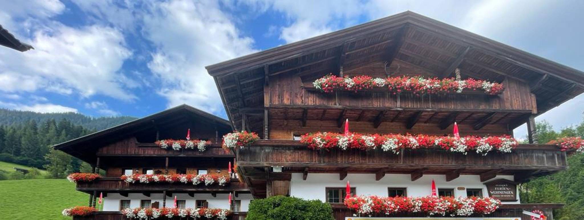 Ganze Ferienwohnung, Appartement 8 in Alpbach, Kaisergebirge