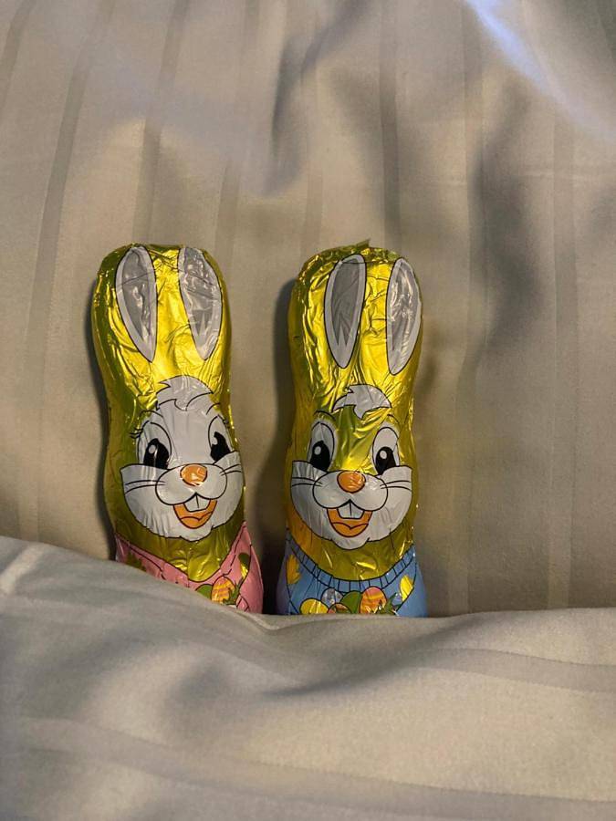 Ahoi-Gästehaus in Bergedorf Hamburg, Hamburg