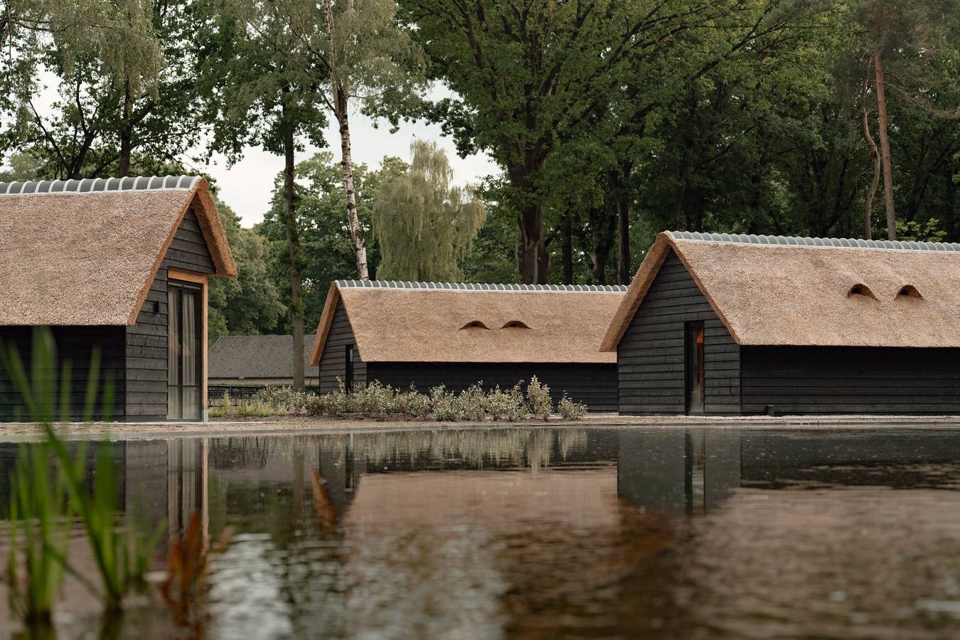Resort Hof van Nassau — Waldstudio am Badeteich | 2 Personen in Baarle-Nassau, Nordbrabant