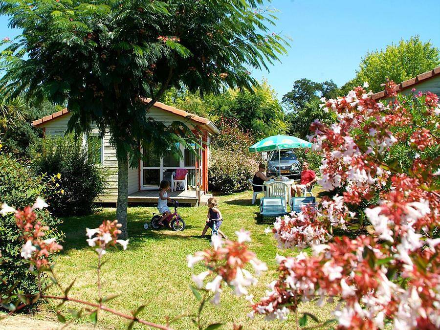 Camping Lou P'tit Poun  - Chalet 5 personen - Cottage - 2 Zimmer in Saint-Martin-de-Seignanx, Côte d’Argent