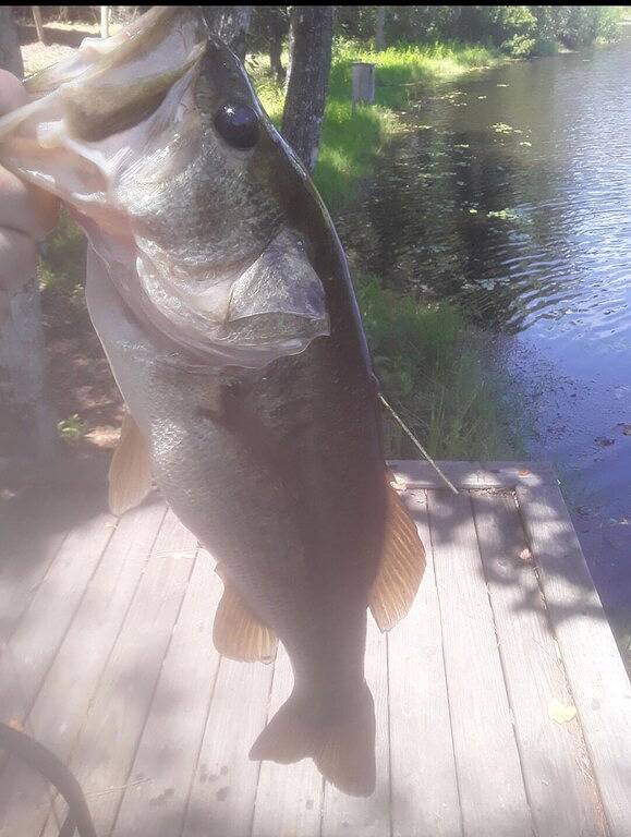 Vacation house for 4 people, with balcony and yard the Florida Panhandle
