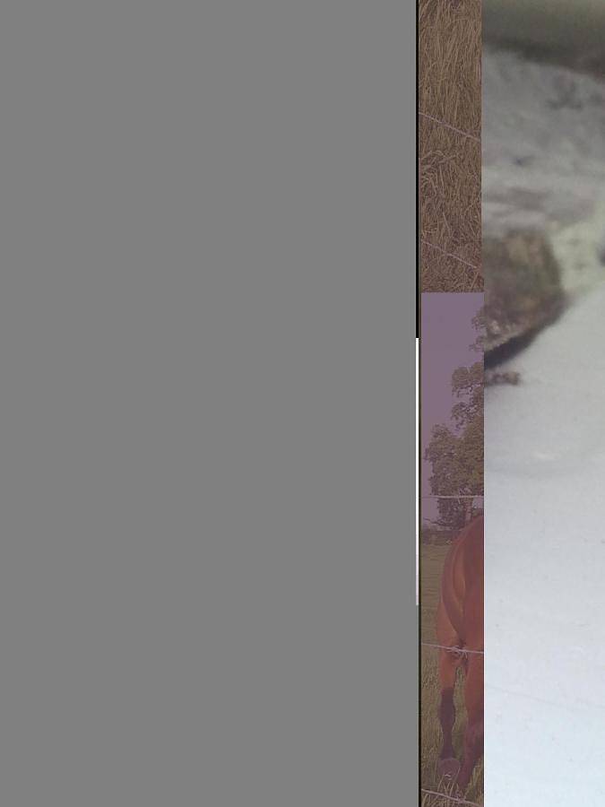 Location de vacances pour 10 personnes, avec terrasse et vue dans Vismes Au Val - 2