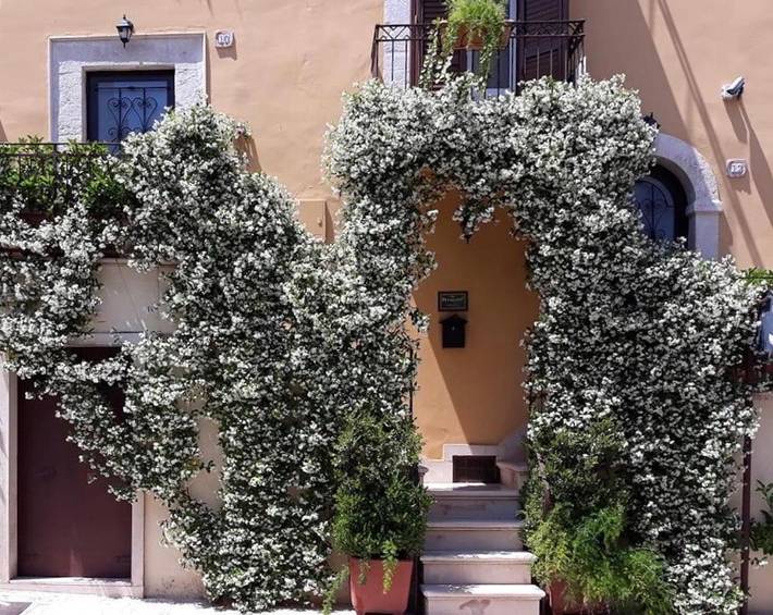 Casa vacanza per 3 persone, con Terrazza a Palo del Colle