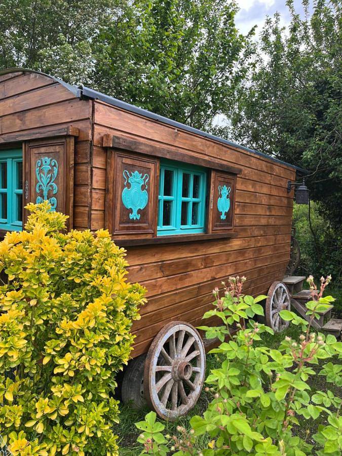 Tente pour 3 personnes, avec jardin et vue, animaux acceptés dans l' Aveyron - 4