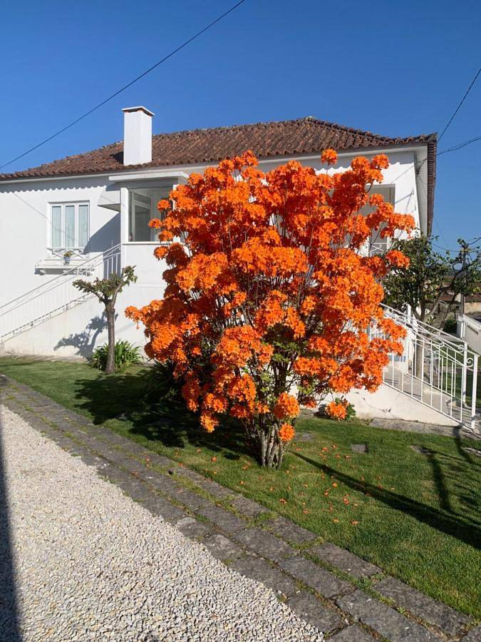 Three-Bedroom House in Distrito do Porto