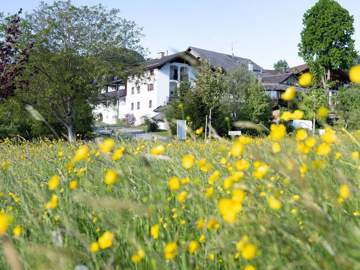 Ferienwohnung für 2 Personen, mit Terrasse und Garten sowie Seeblick und Ausblick in Steinbach am Attersee - 2