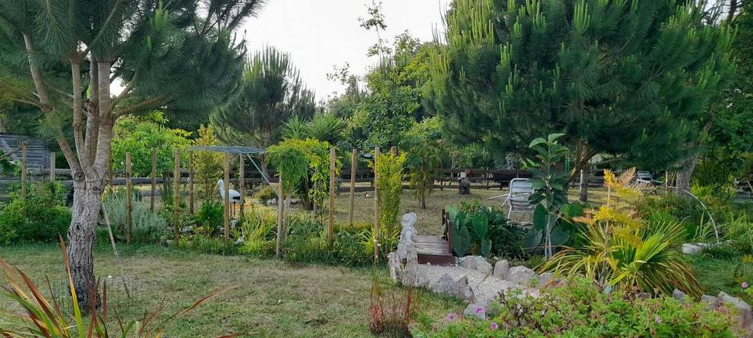 Gîte pour 4 personnes, avec piscine et jardin ainsi que vue et balcon dans Coimbrão - 4
