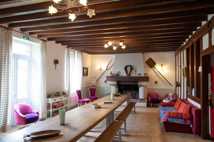 Location de vacances pour 17 personnes, avec terrasse et jardin, animaux acceptés dans Marne - 4