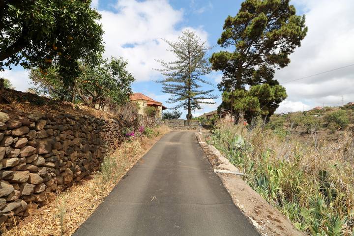 Casa rural para 3 personas, con jardín, Familias con niños en Teror - 4