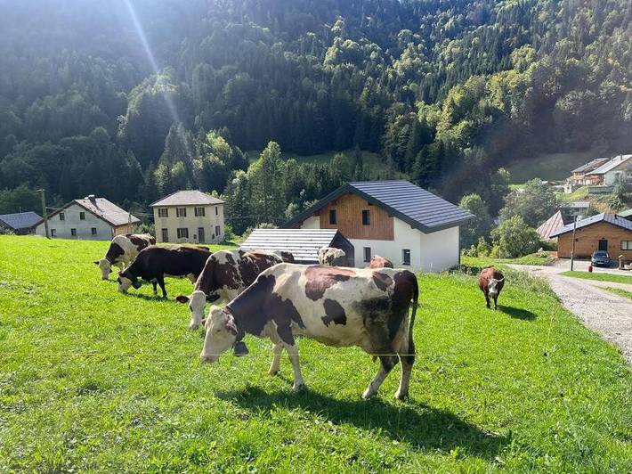 Location de vacances pour 7 personnes, avec jardin ainsi que vue et sauna à Bellevaux - 2