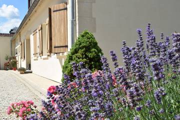 Chambre d’hôte pour 2 personnes, avec jacuzzi et jardin dans Marne