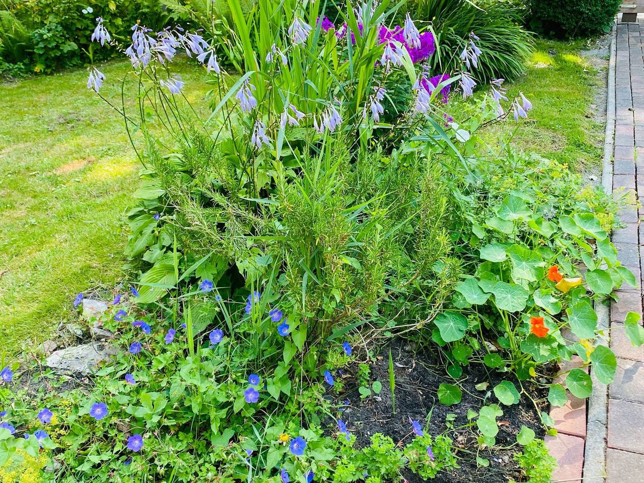 Ganze Wohnung, Kleines Gretchen in Hage, Norden und Umgebung