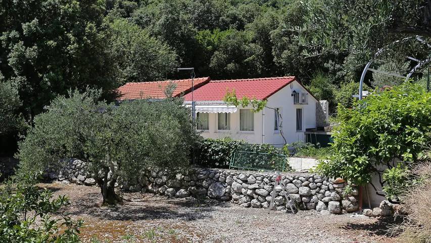 Dom dla 6 osób, z taras w Trpanj