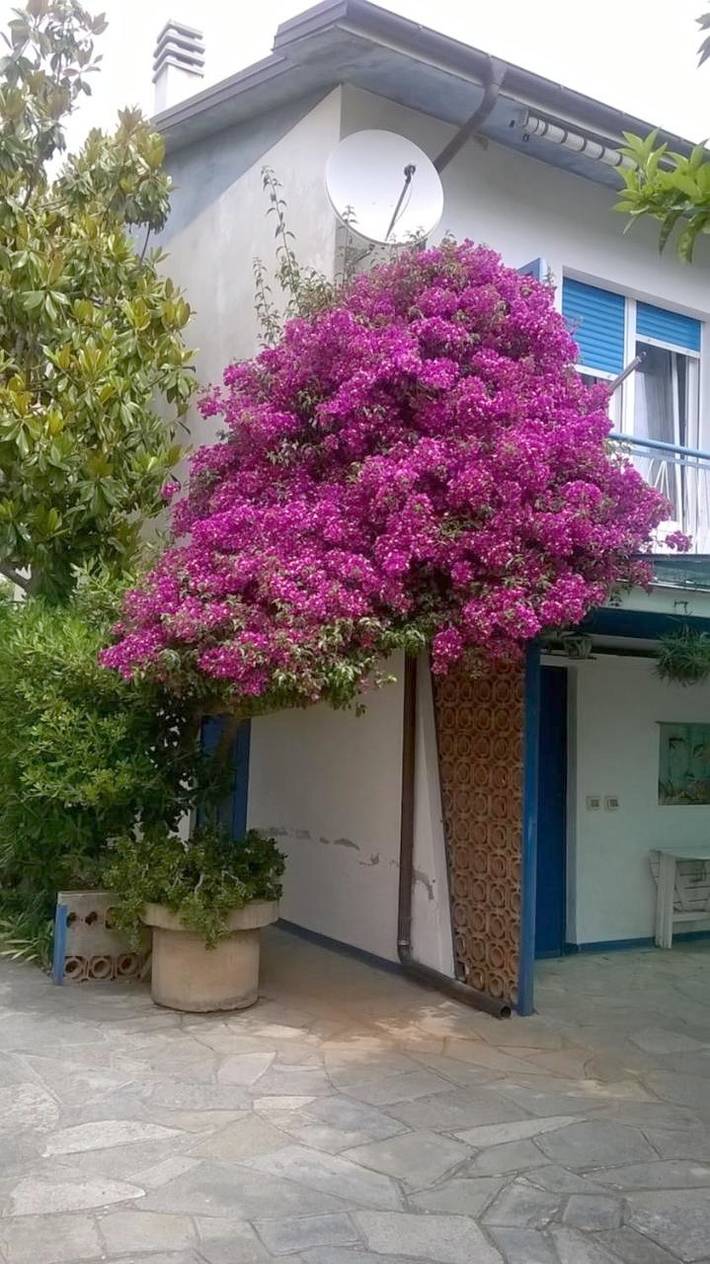 Casa vacanza per 5 persone, con panorama e giardino - 1