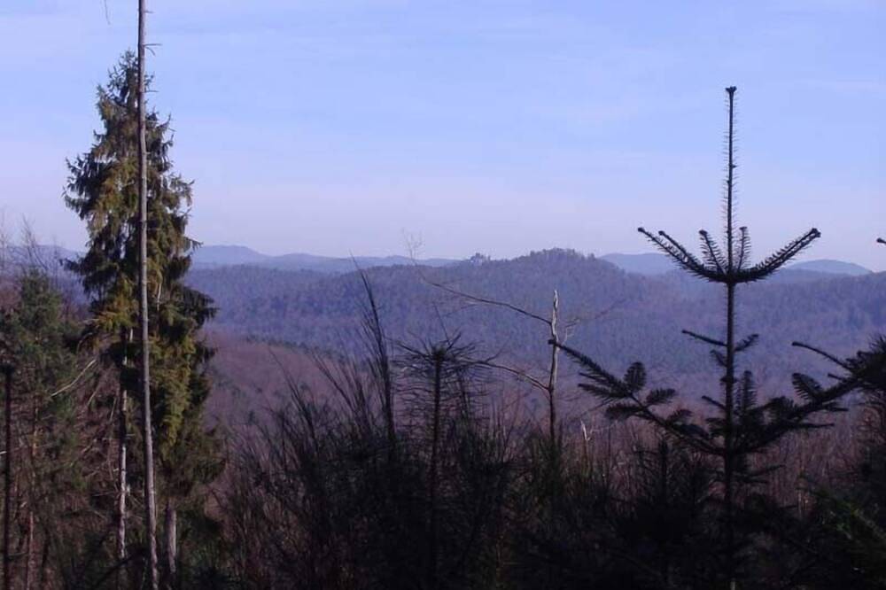 Gite de moyenne montagne in Grendelbruch, Bas-Rhin Alsace