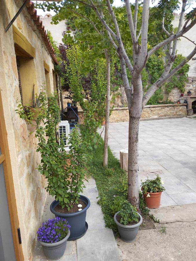 Casa rural para 4 personas, con jardín en Bajo Aragón - 3