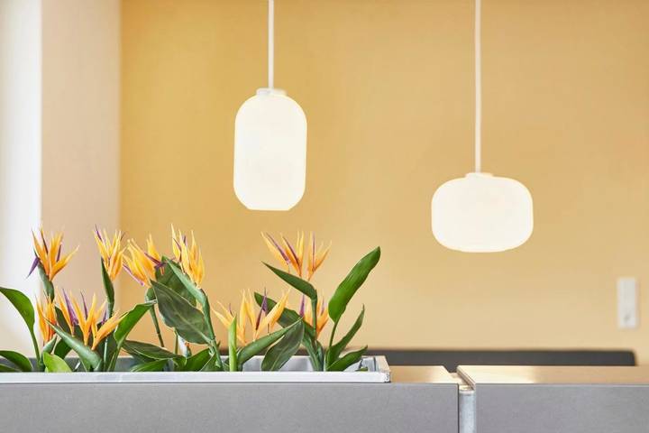 Ferienwohnung für 6 Personen in Märchenweihnacht auf Schloss Glücksburg - 4