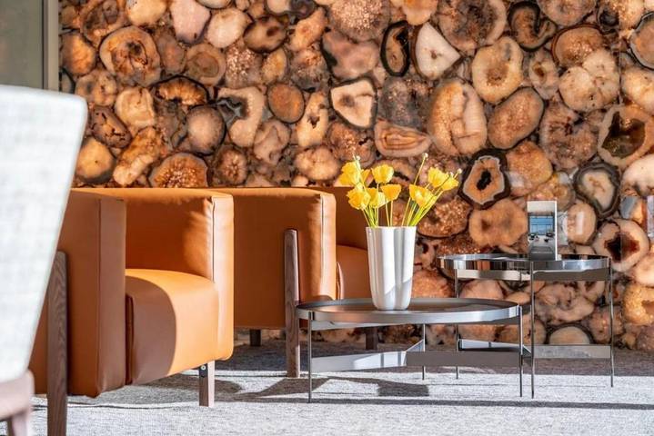 Villa pour 10 personnes, avec piscine et jardin, animaux acceptés à Saint-Jean-Cap-Ferrat - 3