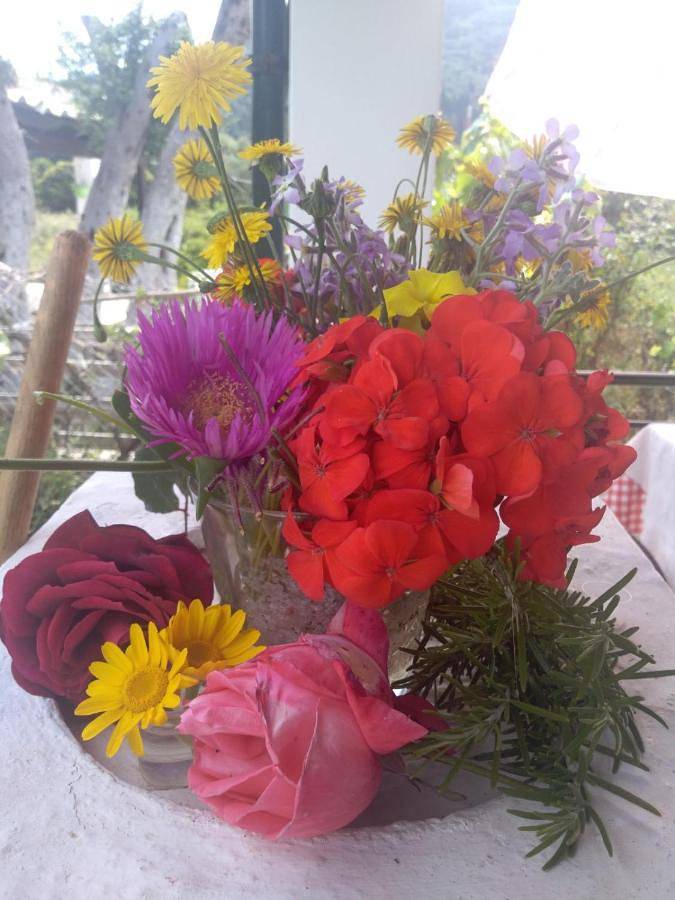 Gîte pour 2 personnes à Agios Gordios - 4