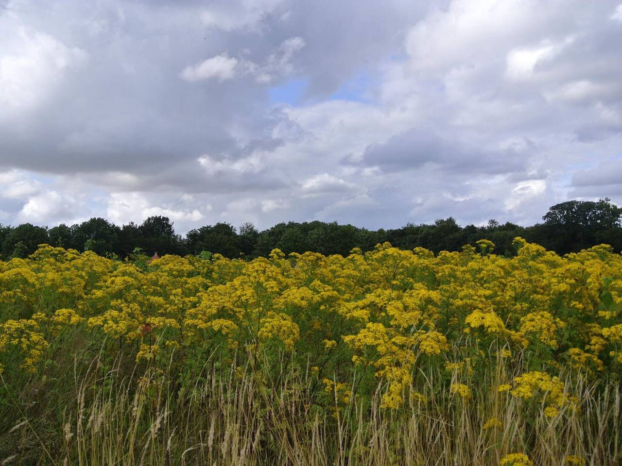6 Personen Ferienhaus in Hejls in Hejls, Kleiner Belt