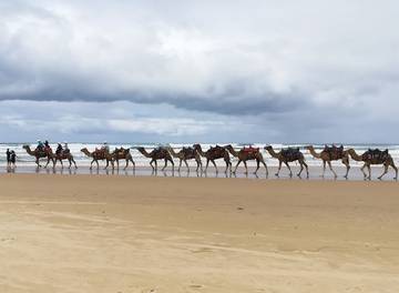 Holiday Home for 7 People in Anna Bay, Hunter Valley, Photo 2