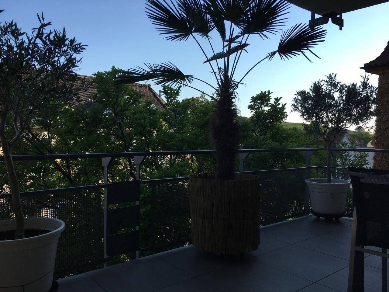 Ganze Wohnung, Stadtferienwohnung in Müllheim, Südschwarzwald