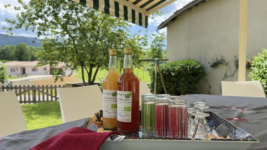 Location de vacances pour 13 personnes, avec terrasse ainsi que jardin et piscine à Estadens - 3