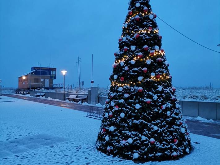 Ferienpark für 4 Personen, mit Balkon in der Rostocker Heide - 3