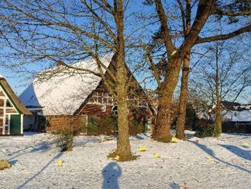 Ferienwohnung für 2 Personen in Dollern, Altes Land Stade, Bild 4