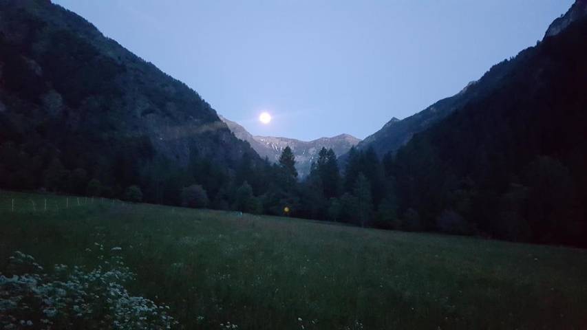 Gîte pour 2 personnes, avec terrasse, animaux acceptés à Saint-Bonnet-en-Champsaur - 4