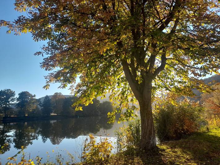 Ferienhaus für 3 Personen, mit Terrasse im Spessart - 2