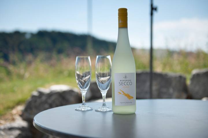 Zimmer für 2 Personen, mit Garten und Seeblick, mit Haustier am Bodensee - 4