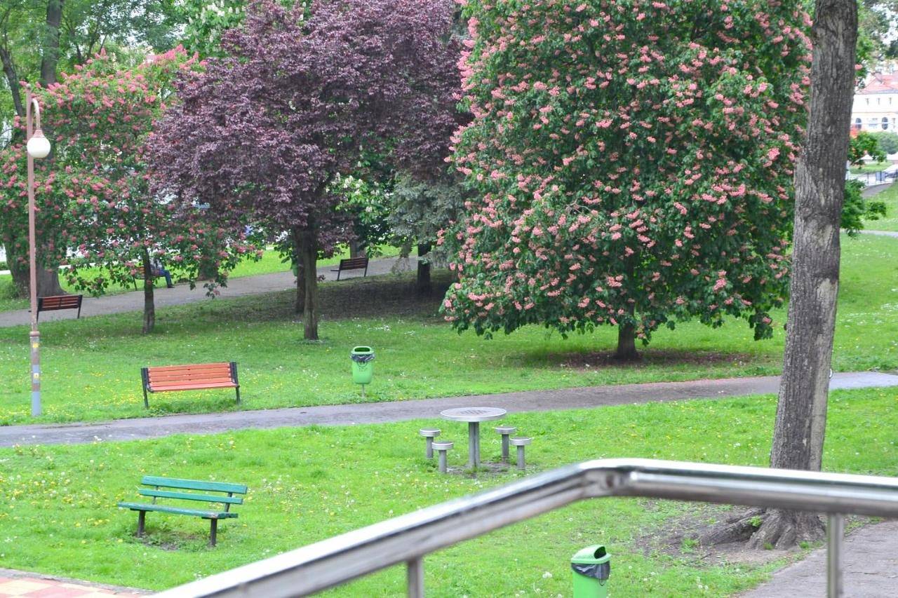 Cały apartament, Apartament w Parku Planty in Elbląg, Polskie Wybrzeże Bałtyku
