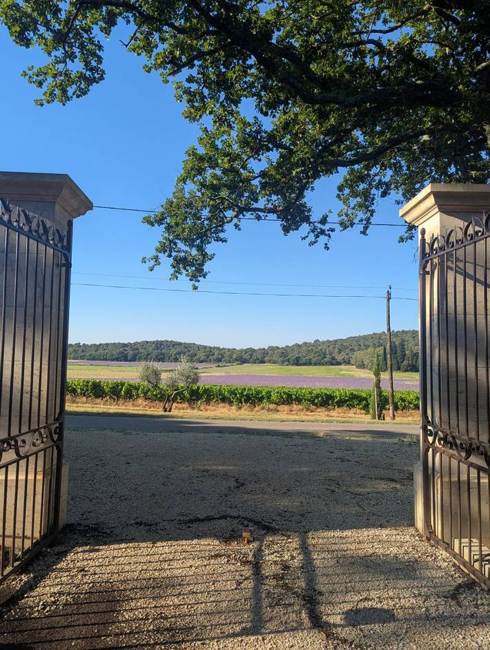 Chambre d’hôte pour 2 personnes, avec piscine et jardin dans le Vaucluse - 2