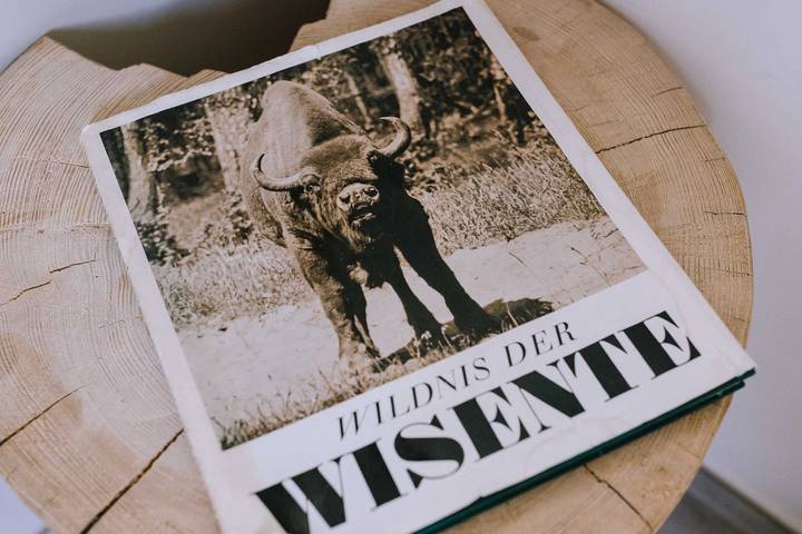 Ferienhaus für 6 Personen, mit Sauna und Whirlpool sowie Garten, mit Haustier im Sauerland - 4