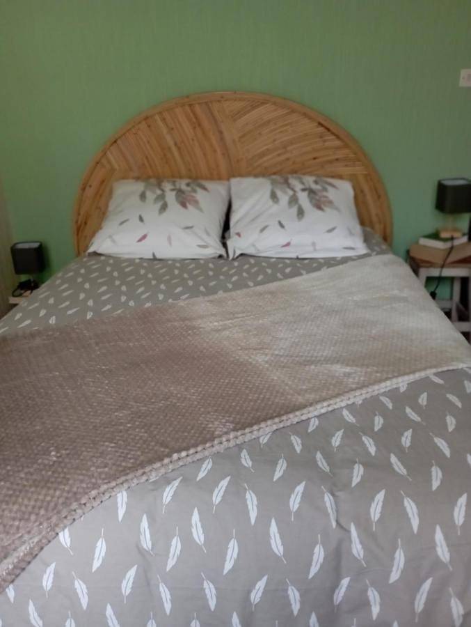 Location de vacances pour 4 personnes, avec balcon et jardin, animaux acceptés à Henrichemont - 2